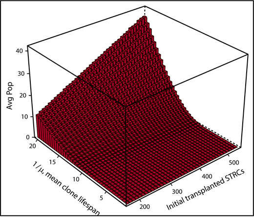 Figure 4. Simulation of expanded cord blood cell transplantation in humans. The average numbers (Avg Pop) of short-term repopulating cells (STRCs) remaining after 1 year are shown. Also shown is the dependency of this number on the length of time an STRC-derived clone contributes to blood cell production and the initial number of STRCs transplanted. Results derive from 500 independent simulations for each set of parameters. When the mean length of time a STRC-derived clone contributes to blood cell production is set at 12 weeks, rare clones often persist for 1 year or longer because of the stochasticity in expansion and differentiation decisions of progeny cells. Indeed, the plot indicates persistence whenever the mean STRC-derived clone lifespan is over 10 weeks and over 200 to 500 STRCs are transplanted. Thus, the argument that observing a cell at 1 year implies that it derived from transplanted HSCs is not secure.