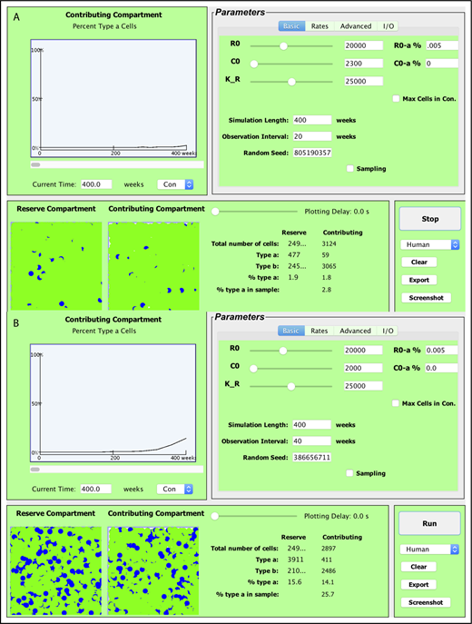 Figure 5. Simulation of mutations yielding a replication advantage. Example realizations of simulated human hematopoiesis under HSC mutation. Optimized values for λ (once per 40 weeks), α (once per 285 weeks), ν (once per 56 weeks), and μ (10 weeks) were used for the normal HSCs,4 and are preset in the simulation tool. Each simulation begins with 1 mutant HSC that self-renews on average twice as frequently (on average once every 20 weeks) as the 20 000 normal HSCs (which renew on average once every 40 weeks). In this thought experiment, the maximum numbers of normal HSCs plus mutant HSCs is set at 25 000. Mutant cells are represented as type a cells and appear as blue circles above. In roughly one-quarter of simulations, mutant HSC replicates but never contributes to hematopoiesis (enters compartment 2), or its clones transiently appear in compartment 2 at very low levels. (A) An example of this. At other times, the mutant clone very slowly expands in the stem cell reserve and then contributing compartments (B). Conceptually, these simulations provide a virtual representation of clonal hematopoiesis of indeterminate significance.28,29 (A) The clonal contribution reaches roughly 1% of compartment 2 (STRCs), decreases to near zero, and then reaches 1.8% after 400 weeks. (B) An example where the mutant clone persists, reaching a population of 411 mutant STRCs (of 2486 compartment 2 cells or 14.1%) after 400 weeks. In this simulation, the number of mutant HSC (compartment 1 cells) increases to 3911, or 15.6% of total HSCs. Expansions to 10 or more percent of HSCs occurs in roughly one-quarter of the simulations. In contrast, this rarely ever occurs when decreasing the replicative advantage of the mutant cell to once every 30 weeks. Varying the parameter values enables simulating hematopoiesis with different behaviors for a single mutant HSC, allowing for visualization of the differing physiologies under which clonal hematopoiesis could emerge or progress.