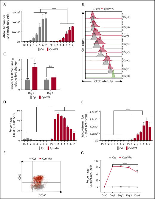 Figure 1. VPA induces a rapid acquisition of the HSC phenotypic markers. (A) The number of viable TNCs generated throughout 7 days of culture of UCB-CD34+ cells with either cytokines alone or a combination of VPA with cytokines, as measured by acridine orange/propidium iodide staining (n = 16). X-axis represents days of the culture, and PC denotes the uncultured UCB cells. (B) Cell division history of CD34+ cells incubated with cytokines alone (gray) or VPA (red), as determined by loss of CFSE fluorescence intensity. Green histogram represents the CFSE fluorescence intensity of the CD34+ cells before treatment with VPA. (C) Percentage of quiescent CD34+ cells (G0), as determined by pyronin and Hoescht staining (n = 8). (D-E) Percentage and absolute numbers of CD34+CD90+ cells generated throughout 7 days of culture with cytokines alone or VPA, as determined by flow cytometry (n = 21). (F) Representative of flow cytometry plots of CD34+CD90+ cells present in cultures initiated with highly purified CD34+CD90− cells after 24 hours of treatment with either cytokines alone (gray) or VPA (red) (n = 4). (G) Percentage of CD34+CD90+ cells generated from CD34+CD90− cells and determined by flow cytometry (n = 4). “n” is the number of biological replicates. Error bars with standard error of the mean. ****P ≤ .0001; ***P ≤ .001 were determined by negative-binomial models for panels A and E, β models for panel D, and 2-way ANOVA for panels C and G. ns, not significant.