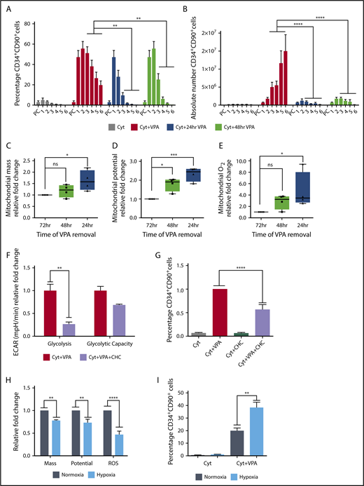 Figure 4. Primitive mitochondrial profile accompanied by increased glycolysis is required for the acquisition of HSCs. (A-B) Effect of VPA withdrawal at different points on the percentage (A) and absolute number (B) of CD34+CD90+ cells generated by treatment with VPA or cytokines alone throughout the 6-day culture period (n = 5). X-axis represents days of the culture, and PC denotes the uncultured UCB cells. (C-E) Effect of VPA removal after various intervals on mitochondrial mass (C), membrane potential (D), and superoxide anion levels (E) of CD34+CD90+ cells cultured for 4 days. Graphs represent fold change of MFI values of MitoTracker Green, tetramethylrhodaminemethyl ester, and MitoSOX relative to the corresponding values observed in CD34+CD90+ cells that were continuously exposed for 72 hours to VPA (n = 4). (F) Glycolysis activity measured by ECAR in VPA expanded CD34+ cells in the presence or absence of 2-cyano-3-(4-hydroxyphenyl)-2-propenoic acid. (G) Effect of glycolysis inhibition on the percentage of CD34+CD90+ cells expanded for 2 days with VPA in the presence of 1 mM 2-cyano-3-(4-hydroxyphenyl)-2-propenoic acid. (H) Effect of hypoxia on mitochondrial mass, potential, and ROS levels of CD34+CD90+ cells expanded for 4 days with VPA (n = 4). (I) Effect of hypoxia on the percentage of CD34+CD90+ cells generated by the end of the expansion period (n = 4). “n” is the number of biological replicates. Error bars with standard error of the means, ****P ≤ .0001; ***P ≤ .001; **P ≤ .01; *P ≤ .05 were determined by β models for panel B, negative-binomial models for panel C, and 2-way ANOVA for panels D-H.