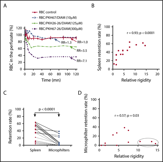 Figure 3. Retention of dRBCs by the isolated-perfused human spleen and the microsphiltration system. (A) Kinetics of dRBC clearance in the perfused spleen, monitored by measuring PKH-labeled counts in the perfusate (a representative experiment, n = 8). (B) Linear regression fit of the correlation between levels of dRBC retention within the spleen and the relative rigidity. (C) Retention rates of dRBCs in the isolated-perfused human spleen 2 hours after the onset of perfusion or in the microspheres filter. (D) Linear regression fit of the correlation between levels of dRBC retention within the microsphilters and the relative rigidity.