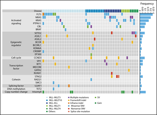 Figure 1. Mutational landscape of pediatric MLL-rearranged AML. Driver or recurrent mutations and copy-number alterations observed in pediatric MLL-rearranged AML (n = 56). The frequencies of mutated genes are shown on the right. SNV, single-nucleotide variant; SV, structural variant.