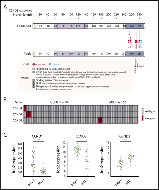 Figure 2. CCND3 mutations in MLL-rearranged AML and disease subtype–specific pattern of CCND1, CCND2, and CCND3 mutations and expression. (A) Domain structure and location of CCND3 mutations in pediatric and adult MLL-rearranged AML. Lollipop plots were generated using ProteinPaint (https://pecan.stjude.org/proteinpaint/). (B) Mutations of CCND1, CCND2, and CCND3 in pediatric AML patients with t(8;21) and MLL rearrangements (MLL-r). (C) Messenger RNA expression levels of CCND1, CCND2, and CCND3 in t(8;21) AML (n = 60) and MLL-rearranged AML (n = 43). ***P < .001.