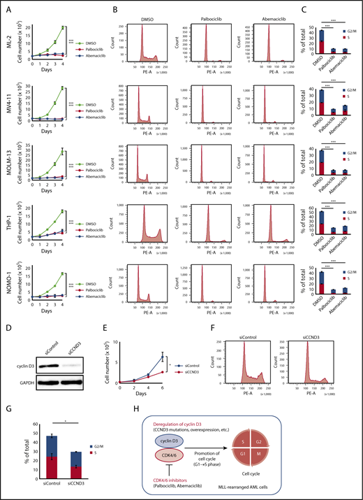 Figure 3. Effects of CDK4/6 inhibitors in MLL-rearranged AML cell lines. (A) Cell proliferation assay. ML-2, MV4-11, MOLM-13, THP-1, and NOMO-1 cells were cultured in the presence of DMSO, palbociclib (500 nM), or abemaciclib (500 nM). (B) Cell-cycle analysis. Flow cytometric analysis of cell lines treated with DMSO, palbociclib (500 nM), or abemaciclib (500 nM) for 24 hours and stained with propidium iodide. (C) Comparison of percentages of G2/M and S phase cells. (D) Immunoblot analysis revealed significantly lower expression of cyclin D3 proteins in THP-1 cells transfected with siRNA against human cyclin D3 transcript (left column: siCCND3) than in THP-1 cells transfected with non-targeting siRNA (right column: siControl). (E-G) THP-1 cells transfected with siCCND3 showed significant impairment in cell proliferation (E) and cell-cycle progression from G1 to S phase (F-G) compared with those transfected with nontargeting siRNA. (H) Schematic figure showing that the cyclin D3-CDK4/6 complex promotes cell-cycle progression and CDK4/6 inhibitors are promising therapeutic agents in MLL-rearranged AML cells. Data are presented as the mean ± standard error of 3 independent experiments. ***P < .001, *P < .05.