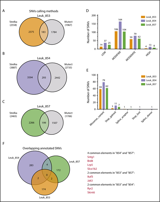 Figure 3. Identification of high-confidence SNVs in Mb1-CreΔPB mouse leukemias. (A-C) SNVs identified by 2 different variant caller methods, Strelka and Mutect, were combined, and overlapping SNVs were classified as high-confidence SNVs. (D) Classification of high-confidence SNVs for effect. Graph shows the number of SNVs classified according to effect. (E) Predicted biological effect of the high-confidence SNVs classified as having moderate and high effect. (F). Venn diagram showing the overlap among high-confidence SNVs identified in the 3 individual mouse leukemias.