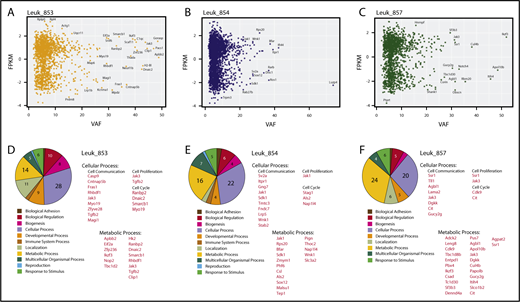 Figure 4. Integration of WES and RNA-seq. (A-C) Scatter plot correlating the levels of gene expression in FPKM log10 and the VAF for genes in which FPKM was greater than zero. Leukemias 853, 854, and 857 are shown, respectively. (D-F). Biological pathway analysis in genes with VAF equal or greater than 20% was performed using Panther–Gene List Analysis. Diagram shows the number of genes enriched according the biological process. Enrichment for genes related to Cellular Process and Metabolic Process is shown for the 3 samples analyzed.