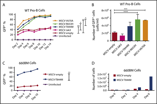 Figure 6. Jak3 mutations confer proliferation advantage to cultured pro-B cells. (A) Percentage of GFP+ cells over the course of 14 days after infection of WT fetal liver-derived pro-B cells with MSCV empty, MSCV JAK3, MSCV T844M, MSCV R653H, MSCV V670A, or MSCV V670A/T844M cultured at low IL-7 concentration (0.5% conditioned medium). Statistics were performed using repeated measures analysis of variance (ANOVA), *P ≤ .05; **P ≤ .01. (B) Absolute number of viable GFP+ cells after 4 days of culture at low IL-7 concentration. WT pro-B cells were infected as described earlier, counted, and analyzed for GFP frequency between day 8 and day 12 of culture. Data are presented as number of GFP+ cells/mL; n = 3. Statistics were performed using ANOVA with Tukey's posttest: ***P ≤ .001; ****P ≤ .0001. (C) Percentage of GFP+ cells over the course of 14 days after infection of the Spi1/Spib-deficient 660BM cell line with MSCV empty or MSCV T844M at low IL-7 concentration. Statistics were performed using repeated measures ANOVA: **P ≤ .01. (D) Absolute number of viable GFP+ cells over 6 days of culture shown in panel C. Spi1/Spib-deficient 660BM pro-B cells were infected with either MSCV empty or MSCV T844M vectors.