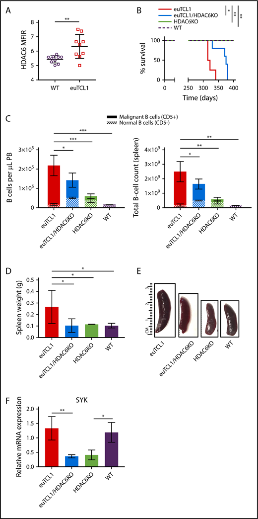 Figure 2. Genetic silencing of HDAC6 in euTCL1 mice. (A) Intracellular HDAC6 protein expression in CD19+ B220+ B cells from WT or euTCL1 peripheral blood (PB), as determined by flow cytometry (n = 9 per group). (B) Overall survival of indicated groups of mice (n = 5 per group), representing results of 3 independent experiments. (C) CLL burden quantified in PB or spleen by flow cytometry (n = 5 per group), representing results of at least 3 independent experiments. (D) Compilation of spleen weight data at the end of the study (n = 3 per group). (E) Representative spleens from each group indicated. (F) Spleen tyrosine kinase (SYK) messenger RNA (mRNA) expression in aged mice (n = 3 per group) normalized to 18s control gene. *P < .05, **P < .005, ***P < .0005.