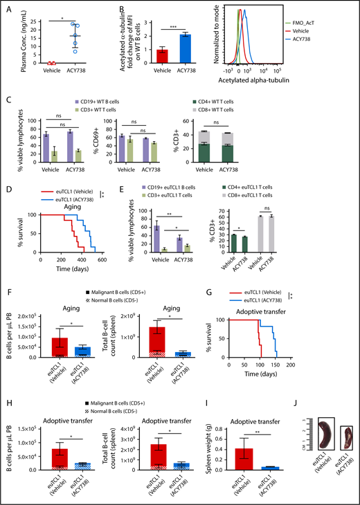 Figure 3. In vivo activity of selective HDAC6 inhibitor ACY738 in WT and CLL mice. Peripheral blood (PB) and spleens were collected from WT mice after 1 month of being fed vehicle (n = 4) or treated with ACY738 orally at 25 mg/kg (n = 5). (A) Plasma was separated by centrifugation from whole blood, and presence of ACY738 was detected by high-performance liquid chromatography. (B) Acetylation level of α-tubulin was quantified via flow cytometry in PB CD19+ B cells from indicated mice (n = 4 per group). (C) Characterization of immune subsets and activation status from splenocytes (n = 4 per group). (D) Overall survival for euTCL1 aging (n = 7 per group) mice fed vehicle only or treated with ACY738. Data are representative of 3 independent experiments. (E) Characterization of immune subsets from splenocytes derived from aging euTCL1 mice treated with vehicle or ACY738 orally (n = 7 per group). (F) CLL burden was quantified in aging euTCL1 mice fed vehicle only or treated with ACY738 for a duration of 3 months (n = 6 per group). Data were compiled from 2 independent experiments. (G) Overall survival for adoptive transfer euTCL1 mice (n = 6 per group) fed vehicle only or treated with ACY738. Data are representative of 3 independent experiments. (H) CLL burden was also quantified in adoptive transfer CLL mice (n = 8 per group) fed vehicle only or treated with ACY738 for a 12-week duration, and results are representative of 5 independent experiments. (I) Compilation of adoptive transfer CLL mice spleen weights after 12 weeks of indicated treatments (n = 6 per group). (J) Representative spleens from indicated groups. Error bars correspond to standard errors of the mean. *P < .05, **P < .005, ***P < .0005, compared with vehicle-only controls. conc, concentration; MFI, median fluorescence intensity; ns, not significant.
