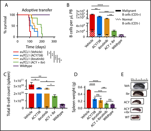 Figure 7. Combinatorial antitumor efficacy of ACY738 and ibrutinib treatment in CLL mice. (A) Overall survival data for adoptive transfer CLL mice treated as indicated until death or euthanasia (n = 8 per group), representative of 2 independent experiments. (B-C) CLL burden was quantified in peripheral blood or spleen after 12 weeks of indicated treatments; data are representative of 3 independent experiments. (D) Spleen weight at conclusion of experiment. (E) Representative spleens from indicated treatment groups are shown. Error bars correspond to standard errors of the mean. *P < .05, **P < .005, ***P < .0005, ****P < .00005.