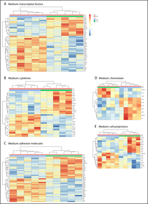 Figure 2. Gene ontology classification of differentially expressed genes in immature CD16+ and CD16− MDDCs. Transcriptional profiling was performed as described in Figure 1A,D. Differentially expressed genes in CD16+ (green) vs CD16− (blue) MDDCs exposed to media (immature; P < .05; FC cutoff, 1.3) were classified using gene ontology in (A) transcription factors, (B) cytokines, (C) adhesion molecules, (D) chemotaxis, and (E) cell projections. Each heat map column represents data from a distinct donor for matched immature CD16+ vs CD16− MDDCs (n = 5).