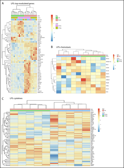 Figure 3. Differential gene expression in CD16+ and CD16− MDDCs in response to LPS. Transcriptional profiling was performed as described in Figure 1A,E-F with matched MDDC subsets exposed to media (immature) or LPS (mature) for 24 hours. Shown are top-regulated genes in immature and mature CD16+ compared with CD16− MDDCs (A) and differentially expressed genes in CD16+ vs CD16− MDDC subsets exposed to LPS (P < .05; FC cutoff, 1.3) linked to the gene ontology terms chemotaxis (B) and cytokines (C). Heat map cells are scaled by the expression level z-scores for each probe individually. Results were generated with cells from 5 different donors identified with different color codes.