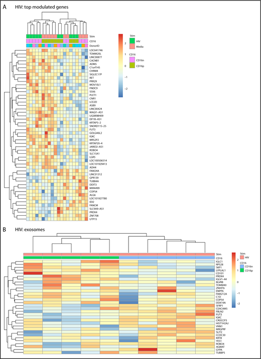 Figure 4. Differential gene expression in CD16+ and CD16− MDDCs in response to HIV. Transcriptional profiling was performed as described in Figure 1A,G-H, with matched MDDCs subsets exposed to media (immature) or HIV for 24 hours. Shown are top differentially regulated genes in immature and HIV-exposed CD16+ (green) and CD16− MDDCs (pink) (A) and differentially expressed genes in CD16+ (green) vs CD16− (blue) MDDC subsets exposed to HIV (P < .05; FC cutoff, 1.3) linked to the gene ontology terms exosome (B). Heat map cells are scaled by the expression-level z-scores for each probe individually. Results were generated with cells from 5 different donors identified with different color codes.