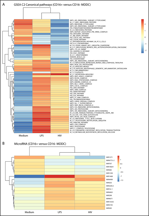 Figure 5. CD16+ and CD16− MDDCs exposed to media, LPS, or HIV exhibit unique molecular signatures. Genome-wide transcriptional profiles were generated as described in Figure 1A,D-H for MDDC subsets exposed to media, LPS, or HIV for 24 hours. (A) Gene set enrichment analysis allowed the identification of top-regulated canonical pathways (C2), commonly and differentially expressed between CD16+ vs CD16− MDDCs exposed to media, LPS, or HIV-1. (B) Shown are top-regulated micro-RNAs (MIR) differentially expressed between CD16+ and CD16− MDDCs exposed to media, LPS, or infectious HIV virions. Results were generated with matched MDDC subsets from 5 different donors.