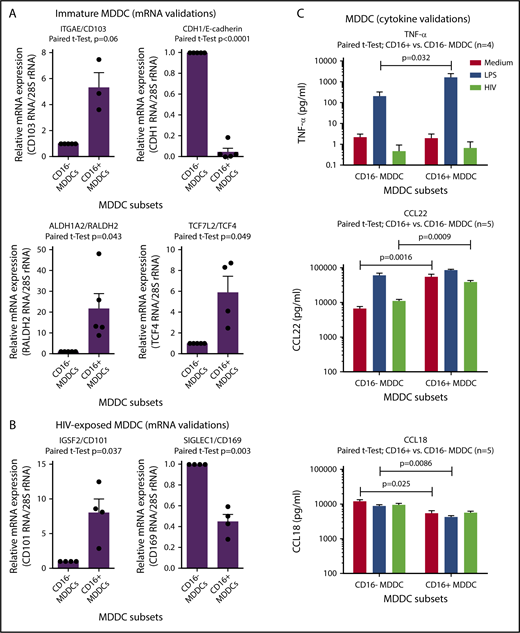 Figure 6. Novel functional markers for CD16+ and CD16− MDDCs. MDDC subsets were generated and exposed to media (immature), LPS (mature), or HIV for 24 hours, as described in Figure 1A. Shown are real-time RT-PCR validation of relative ITGAE/CD103, CDH1/E-cadherin, ALDH1A2/RALDH2, and TCF7L2/TCF4 mRNA expression in immature MDDC subsets (A), as well as IGSF2/CD101 and SIGLEC1/CD169 in HIV-exposed MDDC subsets (B). (A-B) Results were generated with matched MDDC subsets from 3 to 5 different donors. Each symbol represents the median value of 2 to 3 RT-PCR replicates, with values for CD16− MDDCs being considered 1. Paired Student t test P values are indicated on the graphs. (C) Shown are levels of TNF-α, CCL22, and CCL18 quantified by ELISA in cell culture supernatants from matched CD16+ and CD16− MDDCs on exposure to media, LPS, or HIV (n = 4-5, mean ± SEM). Paired Student t test P values for log10 cytokine levels are indicated on the graphs.