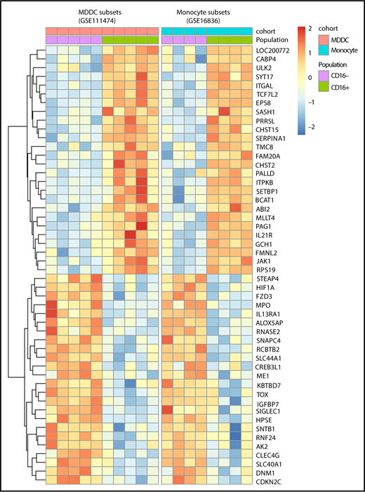 Figure 7. Meta-analysis identifies a transcriptional signature conserved by CD16+ and CD16− monocytes during differentiation into DCs. Genes differentially expressed in CD16+ vs CD16− monocytes (GSE1683626) and CD16+ vs CD16− MDDCs (GSE111474, current manuscript) were subject to a meta-analysis that led to the identification of a transcriptional signature preserved during monocyte differentiation into DCs.