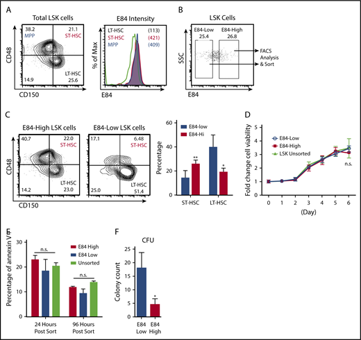 Figure 3. E84-low LSK cells from bone marrow are enriched for HSCs. (A) Flow cytometry analysis of hematopoietic stem/progenitor cells (HSPCs) based on E84 staining. Bone marrow cells were stained using E84, LSK, and SLAM markers to detect LT-HSCs (LSK+CD150+CD48−), ST-HSCs (LSK+CD150+CD48+), and MPPs (LSK+CD150−CD48+). Left panel: gating of LSK cells into LT-HSCs, ST-HSCs, and MPPs; right panel: histogram of E84-stained LT-HSCs, ST-HSCs, and MPPs. (B) Gating of the 25% least and 25% most intensely E84-stained LSK cells for subsequent sorting. (C) Sorted cells were analyzed for SLAM markers (CD48 and CD150) and gated accordingly. The plot is the summary of 3 independent experiments. (D) Sorted cells were cultured in Iscove modified Dulbecco medium with 10% FBS supplemented with interleukin-3/interleukin-6/stem cell factor for cell viability assays. (E) Annexin V staining of sorted cells in culture D. (F) Sorted cells were used for colony formation assays; colony-forming units (CFUs) from 3 independent assays were counted and plotted. The data are shown as mean ± standard deviation. *P < .05; **P < .01.