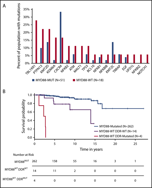 Figure 2. Comparison of findings for MYD88WT and MYD88MUT WM. Comparison of somatic mutation frequencies between MYD88WT and MYD88MUT WM patients. (A) Data for mutation frequencies for 53 MYD88MUT WM patients were acquired from our previous whole genome sequencing results, using high-quality somatic variants supported by at least 3 reads.10,11 (B) Kaplan-Meier curves for overall survival from time of diagnosis for WM patients with MYD88MUT, and MYD88WT with and without DDR mutations (log-rank P < .0001).