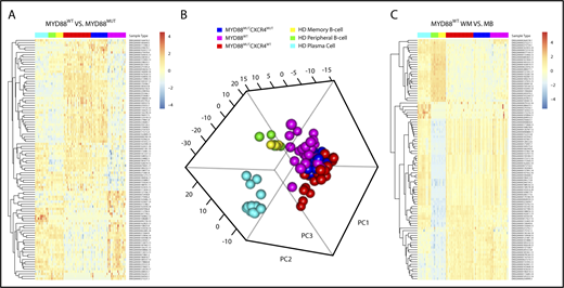 Figure 3. Findings from next-generation gene expression studies in MYD88WT WM. (A) The top 100 most statistically significant genes between samples from 18 MYD88WT and 75 MYD88MUT patients are shown, demonstrating a uniform gene signature associated with the MYD88WT population. (B) Principal component analysis of the top 500 high variance genes revealed a clustering of MYD88WT and MYD88MUT WM samples, regardless of CXCR4 mutation status that was distinct from healthy donor peripheral blood B, memory B, and plasma cells. (C) These findings were also recapitulated in the supervised clustering of the top 100 most statistically significant differentially expressed genes between healthy donor memory B cells and MYD88WT WM samples, in which gene expression levels were very similar between all WM samples regardless of MYD88 and CXCR4 mutation status.