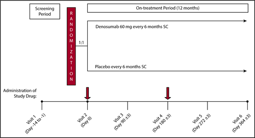 Figure 1. Study schema. On enrolment in the study after eligibility assessment, patients were randomly assigned in a 1:1 fashion to receive either 60 mg DNM or placebo sc, every 6 months for 12 months for a total of 2 doses (Day 0 ± 3 and Day 180 ± 3). Patients were followed every 3 months for clinical and laboratory evaluation.