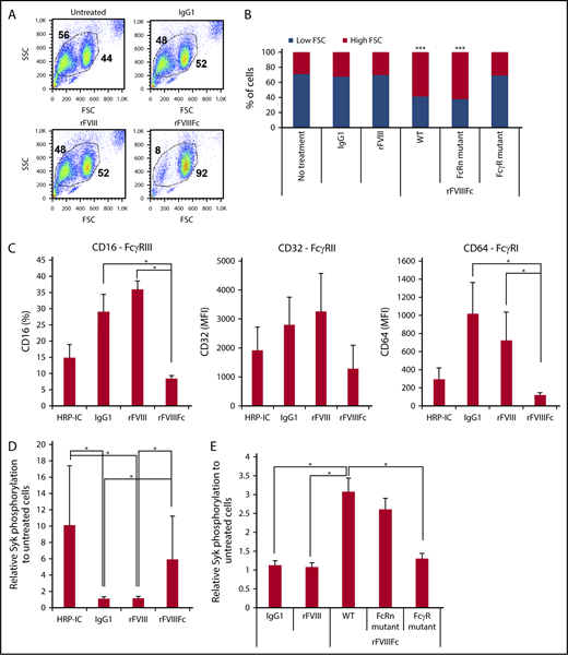 Figure 1. rFVIIIFc induces Fcγ receptor internalization and signaling in an Fc-dependent fashion. (A) Forward scatter (FSC)/side scatter (SSC) pseudocolor plots of macrophages treated with IgG1, rFVIII, or rFVIIIFc (each at 200 nM) for 24 hours, illustrating the size change of the cells upon rFVIIIFc treatment. Numbers in FSC/SSC pseudocolor plots indicate the percentage of smaller and larger cell populations. One representative experiment is shown. (B) Graph shows cumulative data on macrophage size based on the percentages of low-FSC and high-FSC cell populations, observed by flow cytometry (n = 12). Significance indicated compared with untreated cells. (C) Macrophages (n = 4) were treated with HRP-ICs as positive control, IgG1 as negative control, rFVIII, or rFVIIIFc for 24 hours, and the cell surface expression of the FcγRs CD16, CD32, and CD64 was measured by flow cytometry. Downregulation of the FcγRs from the cell surface indicates internalization. (D) Macrophages (n = 10) were treated with HRP-IC, IgG1, rFVIII, or rFVIIIFc for 15 minutes, and the phosphorylation of Syk was measured using the Meso Scale Diagnostics (MSD) platform. Upregulation of pSyk levels shows direct FcγR engagement by HRP-IC and rFVIIIFc. (E) Mutant rFVIIIFc molecules unable to bind the FcRn (FcRn mutant) or the FcγRs (FcγR mutant) were used to treat macrophages (n = 4) along with the wild-type rFVIIIFc (WT), IgG1, and rFVIII for 30 minutes, and Syk phosphorylation was measured using the MSD platform. Downregulation of pSyk after FcRn and FcγR mutant treatment compared with WT rFVIIIFc shows the role of these receptors in signal transduction. Mean ± SE; *P ≤ .05, ***P ≤ .005.