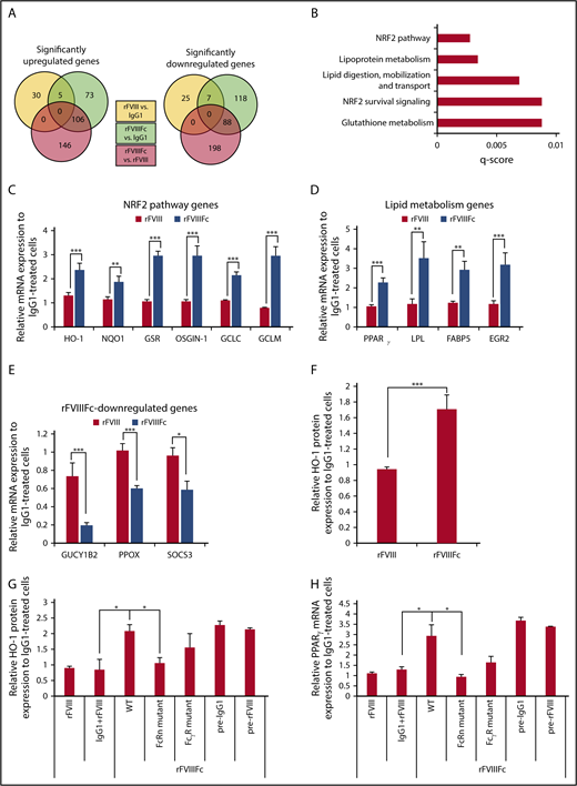 Figure 3. rFVIIIFc induces specific gene expression pattern in macrophages, resembling regulatory phenotype. Macrophages were treated with IgG1, rFVIII, or rFVIIIFc for 6 hours, and total RNA was isolated for high-throughput RNA sequencing. (A) Venn diagrams show significantly up- and downregulated genes between treatment groups (n = 3). (B) Pathway analysis of the first 200 significantly upregulated genes by rFVIIIFc treatment identifies NRF2 and lipid metabolism pathways as overrepresented processes affected by rFVIIIFc treatment. Validation of gene expression changes initiated by rFVIIIFc: NRF2 pathway–related genes (C), lipid metabolism–related genes (D), downregulated genes (E) (n = 6-15). (F) Macrophages (n = 12) were treated with IgG1, rFVIII, or rFVIIIFc for 24 hours, and the intracellular protein levels of HO-1 were measured by flow cytometry. Expression of HO-1 (G) and PPARγ (H) were followed, after treatment with IgG1, rFVIII, rFVIIIFc, modified rFVIIIFc unable to bind to FcRn (FcRn mutant), or modified rFVIIIFc unable to bind to FcγRs (FcγR mutant) for 6 hours (PPARγ gene expression) or 24 hours (HO-1 protein expression). Macrophages were also pretreated with IgG1 (pre-IgG1) or rFVIII (pre-rFVIII) for 1 hour before 24 hours rFVIIIFc treatment (n = 5). Mean ± SE; *P ≤ .05, **P ≤ .01, ***P ≤ .005.