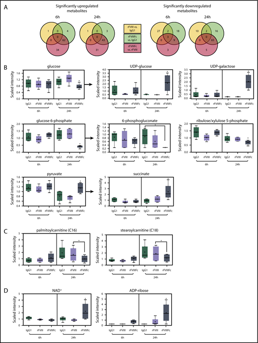 Figure 4. rFVIIIFc-treated macrophages exhibit a characteristic metabolic signature, resembling the regulatory phenotype. Metabolite screening was performed on lysates of macrophages (n = 4) treated with IgG1, rFVIII, or rFVIIIFc for 6 hours or 24 hours. (A) Of a total of 578 identified metabolites, 144 were changed significantly between the different treatments. Selected individual metabolites are shown: glycolysis and related metabolism pathways (B), long chain fatty acids (C), and oxidative phosphorylation (D). Mean ± standard deviation; *P ≤ .05. UDP, uracil-diphosphate.