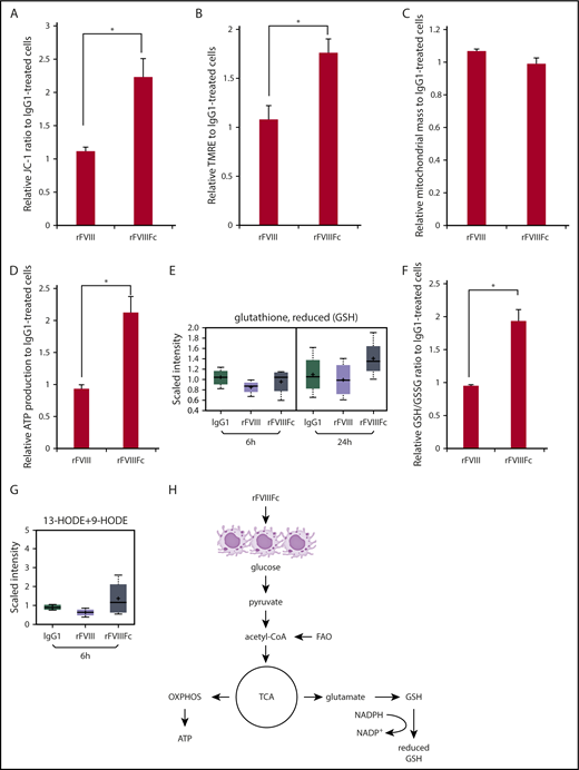 Figure 5. rFVIIIFc-treated macrophages exhibit elevated mitochondrial activity, bioenergy, and glutathione production. Macrophages were treated with IgG1, rFVIII, or rFVIIIFc for 24 hours. Significantly elevated levels of mitochondrial transmembrane potential (A) and active mitochondria staining (B) were measured from lysates of the rFVIIIFc-treated cells, compared with other treatments (n = 3). None of the treatments altered the total mitochondrial mass (C) indicating that rFVIIIFc-educated macrophages specifically upregulate their oxidative phosphorylation capacity (n = 3). Significantly elevated production of ATP (D, n = 5) and GSH (E, n = 3; F, n = 5) of rFVIIIFc-treated macrophages was measured compared with other treatments. (G) Endogenous PPARγ ligands 13-hydroxyoctadecadienoic acid (13-HODE) and 9-HODE were produced by rFVIIIFc-treated macrophages (n = 3). (H) Metabolism status of rFVIIIFc-treated macrophages is illustrated. Mean ± SE; *P ≤ .05.