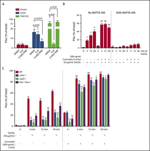 Figure 2. Rapid PSer externalization by oxLDL is by a calcium-dependent caspase pathway. (A) Human platelets (1 × 108/mL) were pretreated with 100 μM Z-VAD–FMK or 5 μM CsA followed by 15 minutes of stimulation with 50 μg/mL oxLDL or 7 minutes stimulation with 0.1 U/mL THR in the presence of 500 ng/mL CVX. (B) Human platelets (30 × 103/μL) were pretreated with 100 μM BAPTA-AM followed by oxLDL sensitization up to 30 minutes followed by 5 minutes of GPVI activation by 500 ng/mL CVX. (C) Gel-filtered platelets (30 × 103/μL) from WT, CD36-null, CypD-null, or Bak/Bax double-null mice were sensitized with 50 μg/mL oxLDL up to 30 minutes followed by 5 minutes of GPVI activation with 500 ng/mL CVX or buffer as a control. Percent-positive for annexin V binding was measured by flow cytometry. Data represented as mean ± SEM and analyzed by 1-way ANOVA with Tukey posthoc analysis. **P < .01 compared to WT no stimulation (no oxLDL, no CVX). ##P < .01 compared to WT with CVX alone (no oxLDL). †P < .05, ††P < .01, compared to their respective WT with oxLDL and CVX stimulation group. N of >3 different donors in panels A and B; platelets from 3 different age-matched mice per strain in panel C.