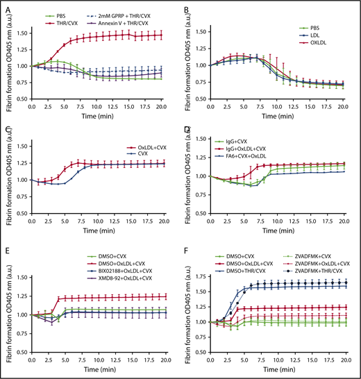 Figure 5. Fibrin formation ex vivo by oxLDL is prevented by inhibiting CD36, ERK5, and apoptotic caspases. (A) Human platelets (3 × 108/mL) were pretreated with the fibrin polymerization inhibitor GPRP or PSer inhibitor annexin V before stimulating with 0.1 U/mL THR with 500 ng/mL CVX. (B) Platelets were stimulated with PBS, 50 μg/mL LDL or oxLDL alone. (C) Platelets were sensitized with 50 μg/mL oxLDL followed by 250 ng/mL CVX stimulation or stimulated with 250 ng/mL CVX alone. Platelets were treated with the 1 µg/mL CD36-blocking FA6 or IgG antibody (D), DMSO (0.5%), 10 µM MEK5/ERK5 inhibitor BIX02188 or XMD8-92 (E), or with 100 µM caspase inhibitor Z-VAD–FMK (F) before stimulating with 250 ng/mL CVX alone or 50 μg/mL oxLDL with CVX; 0.1 U/mL THR with 500 ng/mL CVX stimulation was used as a control for Z-VAD–FMK treatment in panel F. Fibrin polymerization was measured at 405 nm absorbance over time with at least 3 separate donors per stimulation. Data represented as mean ± SEM. N of >3 different donors in panels A-F.