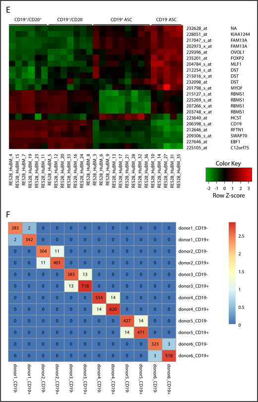 CD19+and negative BM ASC gene expression and sequence identity indicates a common differentiation path. (A) Known ASC genes (XBP-1, PRDM-1, SDC-1), B-cell genes (IL-4R, CD19, MS4A1), and phenotype genes (TNFRSF7, CD38) were assayed from freshly isolated BM. CD38highCD27+ gated cells showed increased expression of ASC genes and low levels of expression of B-cell genes by PrimeFlow. (B) Principal component (PC) analysis was performed on all genes based on relative expression from Affymetrix microarray (U133) for all 4 sorted cell populations from human BM. (C) Graphical representation showing the number of differentially regulated probes (upregulated/downregulated) for each cell population combination. (D) A volcano plot showing log2 (fold change) vs −log10 (adjusted P value) for each paired BM population comparison. Red dots indicate genes with significant expression change; gray dots indicate genes with no significant expression change. (E) Six genes with increased expression on CD19+ ASC and 8 uncharacterized genes with increased expression specific to CD19− ASCs. (F) Heat map of a pairwise comparison of common CDR-H3 sequences between donors. CD19+ and CD19− ASCs were profiled for 6 donors, and the sequences with identical CDR-H3 were considered as identical clones. The number in the heat map describes the number of common clones between 2 samples, and the number in the diagonal line showed the total number of CDR-H3 sequences in the sample. Max., maximum.