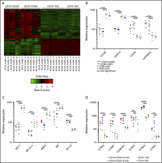 Figure 5. CD19+and CD19−BM ASCs exhibit similar genetic mechanisms for survival. (A) A heat map showing expression of genes with differential expression between 1 of any 2 BM cell populations. Most gene expression appears similar between ASCs and distinct from BM B-cell populations. (B) Scatter plot of 4 caspase-family relative gene expression between BM CD19+CD20+ B cells (circle), CD19+CD20− B cells (square), CD19+ ASCs (triangle), and CD19− ASCs (inverted triangle). (C) Relative gene expression of bcl2-family genes on BM cell populations. (D) Relative expression of cyclin genes on sorted BM cell populations. None of the scatter plots showed a significant difference between the CD19+ and CD19− ASCs.
