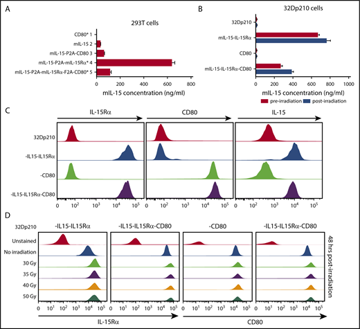 Figure 2. Appropriate cellular processing and expression of IL-15, IL-15Rα, and CD80 are observed after lentiviral transduction of 293T and 32Dp210 cell lines. (A) Levels of IL-15 secretion after lentiviral transduction of 293T cells. Murine IL-15 secretion was quantified by ELISAs of tissue culture supernatants 48 hours after transfection. On the left are designations of lentiviral vector constructs generated and used for transduction studies. Asterisks denote vectors that were used to generate the final 32Dp210 vaccines. Lanes 1 to 5 on the vertical axis depict IL-15 secretion detected as nanograms per milliliter as detected by ELISA for cells transduced with each of the designated constructs. Bars represent the mean cytokine concentration ± SEM. (B) Levels of IL-15 secretion after lentiviral transduction of 32Dp210 cells are comparable pre- and postirradiation. 32Dp210 cells transduced with lentiviral vectors containing mIL-15/IL-15Rα or CD80, or both IL-15/IL-15Rα and CD80, were expanded, and populations were selected that express similar levels of cell-surface IL-15Rα and/or CD80 by fluorescence-activated cell sorter. High-expressing populations were purified. Levels of IL-15 in culture supernatants (ng/mL) were measured before (red bars) and 48 hours after irradiation with 40 Gy (blue bars). 32Dp210, to the left of the uppermost 2 lanes, indicates IL-15 secretion in untransduced controls. As previously, designations to the left of the graph indicate the genes (IL-15, IL-15Rα, or CD80, or all 3 cassettes) contained in the lentiviral vector used to transduce the 32Dp210 cells analyzed. Levels of IL-15 detected in cell culture supernatants are indicated (ng/mL) on the horizontal axis. Bars represent the mean cytokine concentration ± SEM. (C) Transduced 32Dp210 cells exhibit high level cell-surface expression of IL-15Rα, CD80, and IL-15 after purification of transduced 32Dp210 populations. Lentivirally transduced, purified 32Dp210-derived cells were stained with anti-IL-15, anti-IL-15Rα, and anti-CD80 antibodies and subjected to flow cytometric analyses. 32Dp210 on the left indicates the untransduced parental cell line used as a control. The genes encoded by each lentiviral vector used to transduce the 32Dp210 cells are indicated to the left of the flow analysis, and the antibody used to stain cells is indicated above each flow plot. (D) Cell-surface expression of IL-15Rα and CD80 on 32Dp210 vaccines is stable 48 hours after irradiation with doses up to 50 Gy. Lentivirally transduced, purified 32Dp210 cells were stained with anti-IL-15Rα and anti-CD80 antibodies, and the effects of different doses of radiation on IL-15Rα and CD80 expression analyzed. The lentiviral vector used to transduce 32Dp210 cells is indicated above each plot, and the dose of irradiation indicated on the vertical axis. Antibodies used to analyze cell surface expression are indicated below the plots. Data showing cell surface IL-15Rα expression are shown in the left 2 graphs, and cell surface staining with anti-CD80 antibodies is presented in the right 2 graphs.