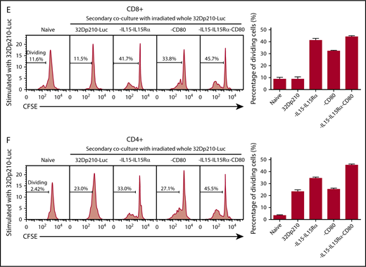 Primary coculture of splenocytes from normal naïve mice with transduced, irradiated 32Dp210-derived vaccines increases proliferation of CD3+CD8+and CD3+CD4+T cells. Whole splenocyte populations from normal naïve mice were labeled with CFSE and cultured alone (no stimulation), or in the presence of irradiated untransduced 32Dp210 cells, or with 32Dp210 cells transduced with lentiviral vectors carrying CD80, IL-15-IL-15Rα, or IL-15-IL-15Rα-CD80 (depicted above each graph) for 12 days. The percent dividing cells is indicated in each plot. After coculture, cells were stained with anti-CD3, anti-CD8, and anti-CD4 antibodies, and quantified by flow cytometric analyses. (A) Proliferation of CD3+CD8+ T cells. (B) Proliferation of CD3+CD4+ T cells. Bar graphs to the right of the flow plots depict the mean percentage of dividing cells from triplicate wells ± SEM. 32Dp210-luc indicates luciferase-positive parental leukemia cell line. The gene or genes expressed by each of the transduced 32Dp210 lines are indicated above each of the plots. (C and D) IL-15/IL-15Rα and CD80 expressed by the 32Dp210-IL-15/IL-15Rα/CD80 vaccine are highly synergistic in stimulating the proliferation of purified T cells from naïve normal mice. Splenocytes were harvested, and T cells were purified, labeled with CFSE, and cocultured with irradiated 32Dp210-derived vaccines in primary stimulation assays for 12 days. Thereafter, proliferation was quantified by flow cytometric analyses. (C) Proliferation of CD3+CD8+ T cells; (D) proliferation of CD3+CD4+T cells. The genes expressed by the 32Dp210-derived vaccines in each stimulation assay are indicated above each plot. The percent dividing cells is indicated in each plot. Controls include culture with media alone (no stimulation) and coculture with the untransduced parental 32Dp210 cells. (E-F) Secondary stimulation assays of splenocytes harvested from non-tumor-bearing mice treated with 32Dp210 vaccines and restimulated ex vivo with parental 32Dp210 cells exhibit enhanced proliferative capacity. Splenocytes were harvested from C3H mice previously vaccinated weekly 4 times with irradiated 32Dp210, 32Dp210-IL15-IL15Rα, 32Dp210-CD80, or 32Dp210-IL-15/IL15-Rα/CD80 cell vaccines. Cells were labeled with CFSE and cocultured for 12 days with untransduced 32Dp210 parent cells treated with 100 Gy γ-irradiation. Thereafter, cocultured splenocytes were stained with anti-CD3, CD4, and CD8 antibodies, and proliferation was quantified by flow cytometry. The percent dividing cells is indicated in each plot. (E) Proliferation of CD3+CD8+ T cells. (F) Proliferation of CD3+CD4+ T cells. Bar graphs to the right depict the mean percentage of dividing cells in triplicate wells ± SEM. Transgenes expressed by each vaccine cell line are indicated above each of the plots and below the corresponding bar graphs.