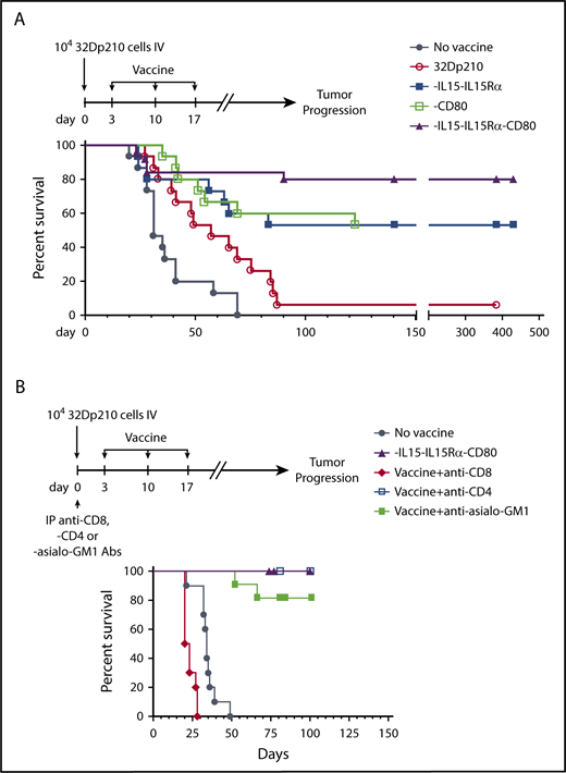 Figure 5. Administration of lentivirally engineered 32Dp210 vaccines in 32Dp210 leukemia-bearing mice confers greater progression-free and overall survival. (A) Overall survival of mice with 32Dp210 leukemia is greatest after serial vaccination with 32Dp210-IL-15/IL-15Rα/CD80: mice were inoculated with 1 × 104 32Dp210 leukemia cells, and vaccination was initiated 3 days later (depicted in the schema above the graph). Experimental groups included mice inoculated with tumor that received no further treatment (no vaccine, filled gray circles, n = 15) and mice vaccinated with irradiated parental 32Dp210 cells (open red circles, n = 15), 32Dp210-IL-15/IL-15Rα (filled blue squares, n = 15), 32Dp210-CD80 (open green squares, n = 15), or 32Dp210-IL-15/IL-15Rα/CD80 vaccines (filled purple triangles, n = 25). Percent survival is depicted on the y-axis, and duration of survival (days), beginning on day 0 with tumor inoculation, is shown on the x-axis. Data represent the results of 3 independent experiments. (B) In vivo, antibody-mediated depletion of CD8+ cells abrogates 32Dp210-IL-15/IL-15Rα/CD80 vaccine effects on overall survival in leukemic mice. After tumor inoculation on day 0, mice underwent 3 weekly vaccinations with 32Dp210-IL-15/IL-15Rα/CD80. Filled purple triangles depict vaccination without antibody depletion. Filled gray circles depict unvaccinated control mice inoculated with 32Dp210 leukemia. Antibody-mediated in vivo depletion of CD8+ cells (filled red diamonds, n = 10), CD4+ cells (open blue squares, n = 5), and asialo GM1+ cells (filled green squares, n = 10) are shown according to the schema at the top of the figure. Percent survival is depicted on the y-axis, and duration of survival (days) on the x-axis.