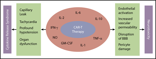 Figure 1. Mechanism of CRS and neurotoxicity with CAR-T. BBB, blood-brain barrier; GM-CSF, granulocyte-macrophage colony-stimulating factor; IFN-γ, interferon-γ; NO, nitric oxide; TNF-α, tumor necrosis factor-α.