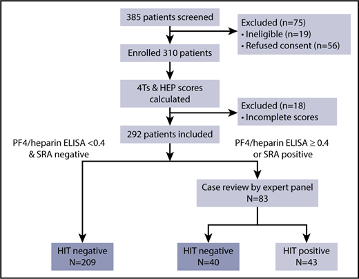 Figure 1. Patient enrollment and adjudication flow diagram.