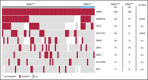 Figure 2. DNMT3A mutations at diagnosis are associated with NPM1wt relapse. Cooccurring mutations with NPM1 at diagnosis of all patients. For 61/90 patients with NPM1mut relapse and for 11/14 patients with NPM1wt relapse, the diagnostic sample was available for 63 gene panel sequencing. Shown are mutations in genes affected in >10% of cases. DNMT3A mutations are significantly more frequent in patients that relapse with NPM1wt disease. FLT3-ITD mutations are significantly more frequent in patients that relapse with NPM1mut disease. n.a., not available.