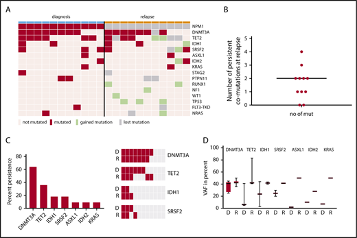 Figure 3. NPM1wt relapse is associated with persistent mutations. (A) For 11/14 patients with NPM1wt relapse, paired samples at diagnosis and relapse were available for sequencing. Shown are genes mutated at least once in the analyzed samples. Genes with >1 mutation/patient are shown once. (B) Number of persistent mutations at relapse; median, 2 (range, 0-4). (C) Left: mutations in 7 genes detected at diagnosis were found to persist at relapse. Fraction of persistent mutations in relation to all 11 patients is shown. Right: The 4 most frequently mutated genes at D and R are shown as heat maps to visualize persistence of mutations. DNMT3A is the most prevalent mutation and also the most stable mutation over time. (D) The variant allele frequency of the indicated genes is given at D and R. D, diagnosis; R, relapse.
