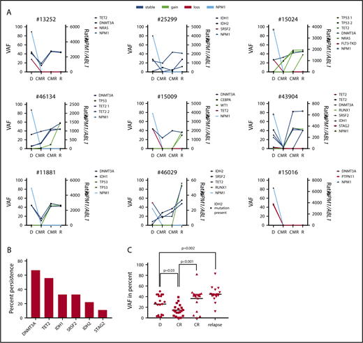Figure 4. Premalignant clonal hematopoiesis underlies NPM1wt relapse. (A) For 9/11 patients, 2 remission samples/patient were available for sequencing analysis. Eights of 9 patients showed persistent mutations in CMR and 4 patients acquired additional mutations before the onset of relapse. (B) Mutations in 6 genes detected at diagnosis were found to persist in remission. Shown is the fraction of persistent mutations in relation to all 9 patients. (C) VAF of persisting mutations at diagnosis, CMR, and relapse. Black line, median; CR, complete remission.