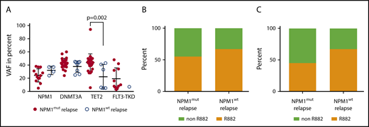Figure 5. NPM1mut allelic burden and DNMT3A mutation type is not associated with NPM1wt relapse. (A) The variant allele fraction of NPM1, DNMT3A, TET2, and FLT3-TKD mutations at diagnosis of the indicated cohort. (B) The fraction of DNMT3A R882 mutations at diagnosis for the indicated cohort (n = 22 NPM1mut relapse, n = 9 NPM1wt relapse, NS). (C) At CMR, 11/15 patients in the cohort with NPM1mut relapse showed a persistent DNMT3A mutation and 6/9 in the cohort with NPM1wt relapse. Shown is the fraction of persistent DNMT3A R882 mutations in the respective cohort (NS).