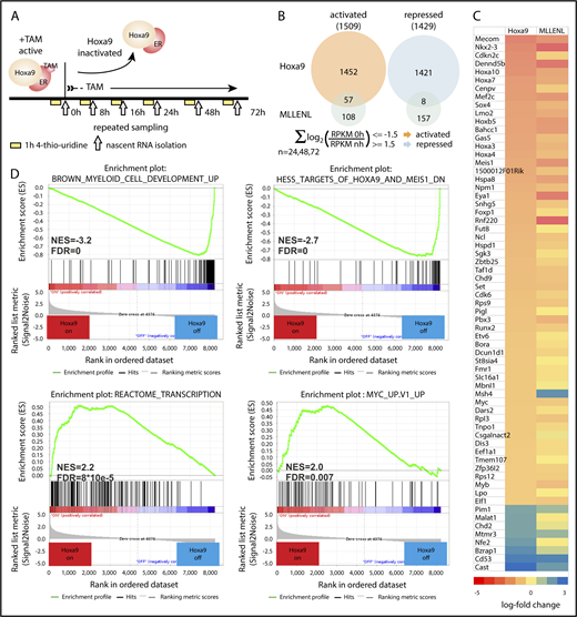 Figure 3. HoxA9-regulated genes can be identified by nascent RNA-seq. (A) Schematic description of sample generation. HSPCs of WT mice transduced with a tamoxifen (TAM)-inducible HoxA9-ER fusion were used for these experiments. Cells were supplemented for 1 hour with 4-thiouridine at the indicated time points, and labeled RNA was isolated and sequenced to determine actual transcription rates in the presence of functional HoxA9 (0 hours), as well as after cessation of HoxA9 activity. (B) Venn diagram. Activated and repressed genes were defined at 24, 48, and 72 hours by a cumulated log2 fold change in transcription rate >1.5 (transcript up after inactivation of HoxA9 = repressed by HoxA9) or a cumulated log2 fold change in transcription rate less than −1.5 (transcript down in the absence of HoxA9 = activated by HoxA9). The overlap with 165 direct target genes of MLL-ENL, as identified previously,23 is indicated. (C) The 65-gene HoxA9/MLL-ENL core signature. Heat map illustrates transcript changes 72 hours after inactivation of the respective oncogene. Red hues correspond to active genes, and blue colors designate repressed genes. (D) Gene set enrichment analysis of the HoxA9-on vs HoxA9-off (72 hours) gene-expression signatures. Normalized enrichment scores (NES) and false-discovery rates (FDS) are given.