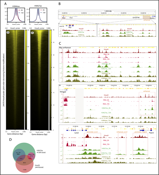 Figure 4. ChIP-seq for H3K4me and H3K27ac assigns potential enhancers to transcripts under control of HoxA9. (A) Metagene plot and occupation heat map of H3K4me and H3K27ac around all 24 470 identified HoxA9 peaks at 0 hours (Hox active) and 72 hours (Hox inactive). Heat maps are drawn for 0 hours only. H3K4me and H3K27ac profiles were determined in WT cells transformed by HA-tagged HoxA9. (B) HoxA9 coincides with H3K4me and H3K27ac at promoters and enhancers. The example covers the Myc gene and its known32 enhancer ∼1.5 Mbp downstream. (C) Transcript response to HoxA9 correlates predominantly with H3K27ac in enhancers and promoters. Enhancer modifications change in response to HoxA9 activity (top panel). The situation at the Myc enhancer is shown at 0 hours (Hox on) and 72 hours (Hox off). HoxA9 ChIP, nascent RNA-seq, H3K27ac, and H3K4me IGV tracks are depicted. HoxA9 regulation allows association of enhancers with their cognate genes (middle panel). The example depicts the situation for Hmga2, in which a putative upstream enhancer is occupied and regulated by HoxA9. IGV tracks shown are as above. H3K27ac kinetics faithfully predicts HoxA9 activity (bottom panel). The intergenic region between Lcn2, a transcript repressed by HoxA9, and Ptges2, a gene bound, but not regulated, by HoxA9 is displayed. Please note that Ptges2 transcript abundances are too low to be visible in the RNA tracks at the scale necessary to visualize Lcn2 upregulation after inactivation of HoxA9. Potential promoter/enhancer sites are boxed. (D) Most HoxA9 sites are not involved in gene regulation. The Venn diagram depicts the numbers of acetylated regions changing modification density by ≥twofold 72 hours after inactivation of HoxA9 and the respective overlap with HoxA9 peaks.