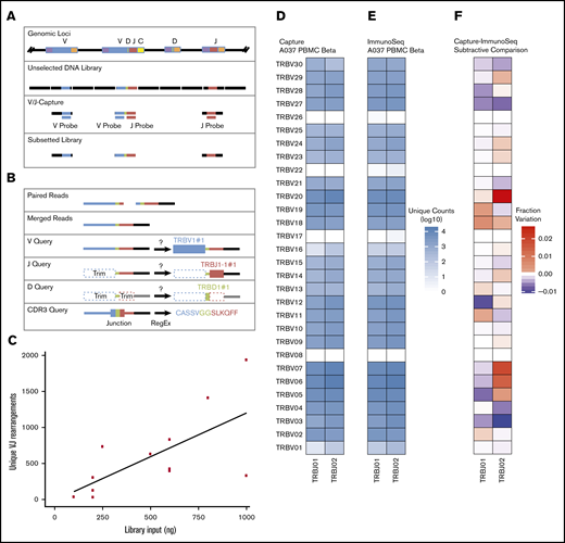 An overview of the CapTCR-Seq hybrid-capture method. (A) Hybrid-capture method experimental flow diagram. Fragments are colored based on whether they contain V-region targets (blue), J-region targets (red), D-regions (green), constant regions (yellow), or non-TCR coding regions (black). (B) V(D)J rearrangement and CDR3 sequence detection algorithm flow diagram. (C) Number of unique VJ pairs recovered relative to library DNA input amount for V probe panel capture of replicate libraries from a single PBMC sample (A037). (D) A037 polyclonal human β locus VJ rearrangements determined by CapTCR-seq. (E) A037 polyclonal human β locus VJ rearrangements determined by a PCR-based profiling service. (F) Subtractive comparison between CapTCR-seq and PCR-based profiling service. Red indicates relative enrichment of indicated pair by CapTCR-seq, whereas blue indicates relative enrichment of indicated pair by PCR-based profiling.