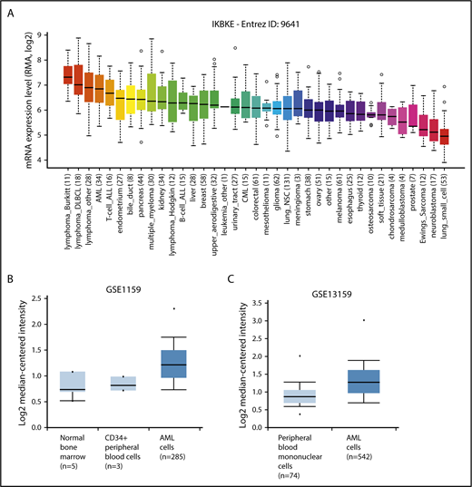 Figure 1. IKBKE is highly expressed in AML. (A) Relative IKBKE expression in human cancer cell lines, derived from the Cancer Cell Line Encyclopedia dataset. (B-C) Relative expression of IKBKE in primary AML cells vs normal cells. Gene expression microarrays from dataset GSE1159. P = 4.83E-5, fold change 1.353 (B). Gene expression microarrays from dataset GSE13159. P = 2.10E-16, fold change 1.303 (C). The IKBKE probe used was ID 204549_a, and graphs were generated from Oncomine. ALL, acute lymphoblastic leukemia; CML, chronic myeloid leukemia; DLBCL, diffuse large B-cell lymphoma; NSC, non–small cell.