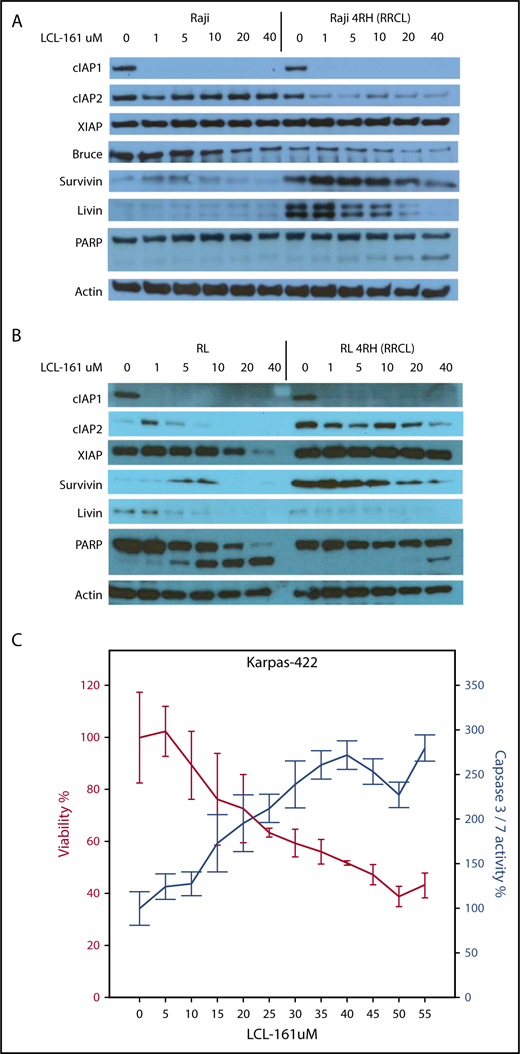 Figure 2. LCL-161 decreases the expression of several IAPs and induces apoptosis. (A-B) The rituximab-sensitive lymphoma cell line Raji/RL and the rituximab-resistant clone Raji 4RH/RL 4RH were exposed to escalating doses of LCL-161 (0-40 μM, as indicated) for 24 hours prior to protein extraction. LCL-161 decreased the expression of cIAP1, cIAP2, and livin in a dose-dependent manner at 24 hours postexposure. LCL-161 induced PARP cleavage at concentrations of 20 and 40 μM in the resistant Raji 4RH cell line. In RL cells, LCL-161 decreased the expression cIAP1, survivin, and livin in a dose-dependent manner at 24 hours postexposure. LCL-161 induced PARP cleavage at concentrations of 20 and 40 μM in the RL cell line, but not in the RL 4RH cell line. (C) LCL-161 produces a dose-dependent increase in caspase 3/7 activity in the germinal center B-cell DLBCL cell line Karpas 422 at 48 hours.