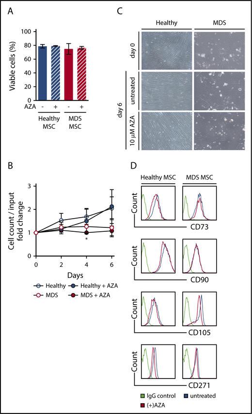 Figure 2. AZA treatment of primary MSCs does not alter their viability, morphology, or immunophenotype. Healthy and MDS MSCs were grown to 80% confluency and treated once on day 0 with 10 µM AZA. After 48 hours, stromal layers were washed and fresh medium was added. Untreated MSCs were used as controls. (A) MSC viability was assessed by flow cytometry using Annexin V/PI on day 6. Shown are mean frequencies ± SEM of Annexin V−/PI− cells measured in triplicate for n = 3 healthy and n = 4 MDS MSCs. (B) Cell counts of MSCs were determined by trypan-blue staining at indicated time points. Values represent mean ± SEM of n = 3 healthy and n = 4 MDS MSC cell counts normalized to the cell count before treatment on day 0. (*P = .045 for MDS MSC AZA vs untreated on day 4, all other n.s.) (C) Representative light microscopy images showing MSC morphology at indicated conditions (magnification ×10). (D) Expression of MSC-defining markers was assessed by flow cytometry on day 6.