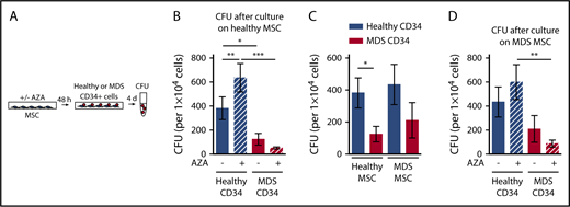 Figure 3. AZA treatment of healthy as well as MDS MSCs favors support of healthy HSPCs. (A) Experimental design. Healthy MSCs or MDS MSCs were treated once with 10 µM AZA for 48 hours. MSC layers were washed and healthy or MDS CD34+ HSPCs were added. After 4 days, CD34+ HSPCs were harvested and progenitor cell activity was assessed by short-term CFU assays. (B) Mean CFU frequencies ± SEM (n = 11 healthy CD34+ cells; n = 12 MDS CD34+ cells; n = 7 healthy MSCs layers). (C) Mean CFU frequencies ± SEM of n = 11 healthy CD34+ cells and n = 12 MDS CD34+ cells after culture on n = 7 healthy MSCs were compared with mean CFU frequencies ± SEM of n = 9 healthy CD34+ cells and n = 11 MDS CD34+ cells after culture on n = 6 MDS MSCs. (D) Mean CFU frequencies ± SEM (n = 9 healthy CD34+ cells /n = 6 MDS MSC layers; n = 11 MDS CD34+ cells /n = 6 MDS MSC layers). *P < .05; **P < .01; ***P < .001.
