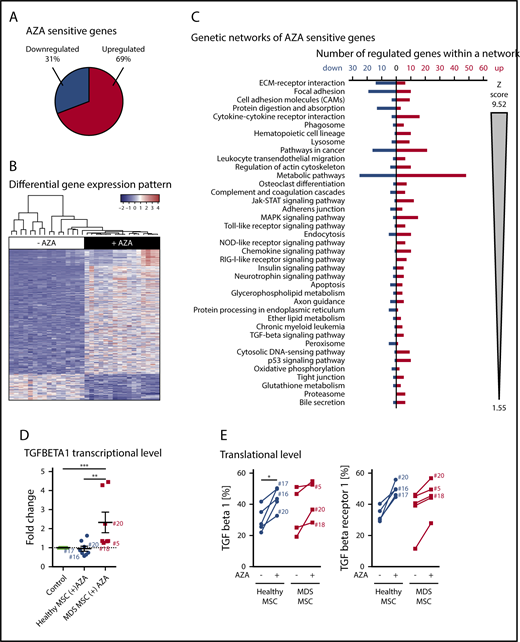 Figure 5. AZA treatment induces a distinct gene-expression pattern in stromal cells. (A-C) RNA-seq analysis of EL08-1D2 cells after 4 days of culture with or without 10 µM AZA added once on day 0. (A) The term “AZA-sensitive genes” comprises all genes that were differentially expressed between AZA-treated and untreated samples according to DESeq2 analysis. The pie diagram shows the percentage of upregulated vs downregulated differentially expressed genes in the AZA-treated cohort compared with untreated cells. (B) Hierarchical clustering and gene-expression heat map across the 500 most differentially expressed genes between untreated and AZA-treated samples. Values are plotted relative to the average of untreated samples. (C) Overrepresentation of significantly differentially expressed genes in KEGG pathways and GO categories were tested by FNEA implemented in the neaGUI R package.40 Entries are ordered first according to false discovery rate (FDR) and second according to the absolute number of the z score. (D-E) Primary healthy and MDS MSCs were treated with AZA once or left untreated and analyzed after 4 days. (D) TGF-β1 expression was validated by comparative RT-PCR in primary MSCs. Results are shown as fold change compared with untreated control. (E) Protein expression of TGF-β1 and TGF-β receptor 1 as assessed by flow cytometry in healthy or MDS MSCs (−/+) AZA. Sample numbers (corresponding to Table 1) of samples analyzed both by RT-PCR in panel D as well as flow cytometry in panel E are indicated. *P < .05; **P < .01; ***P < .001.