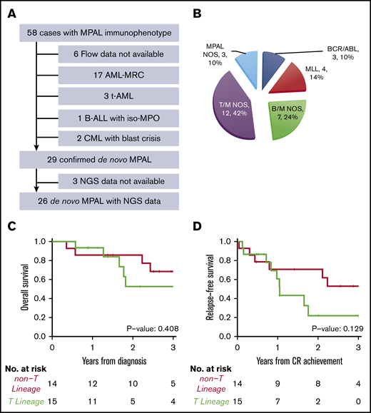 Diagnosis and subtypes of de novo MPAL. (A) Inclusion and exclusion criteria of our MPAL cohort. (B) WHO classification of our MPAL cohort. (C) Overall survival of MPAL. (D) Relapse-free survival of MPAL.